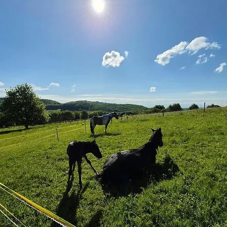 Chotar Nova Bana Tatil Evi Velka Lehota