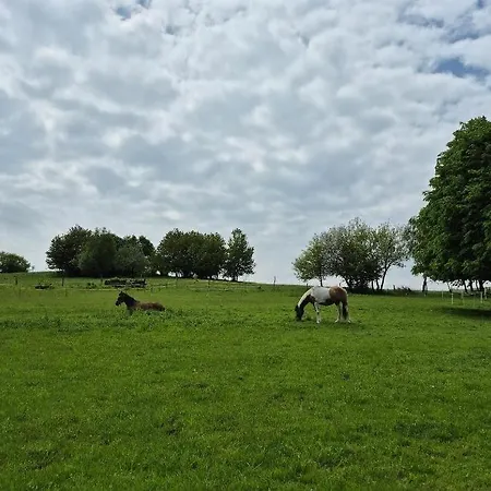 Chotar Nova Bana Tatil Evi *